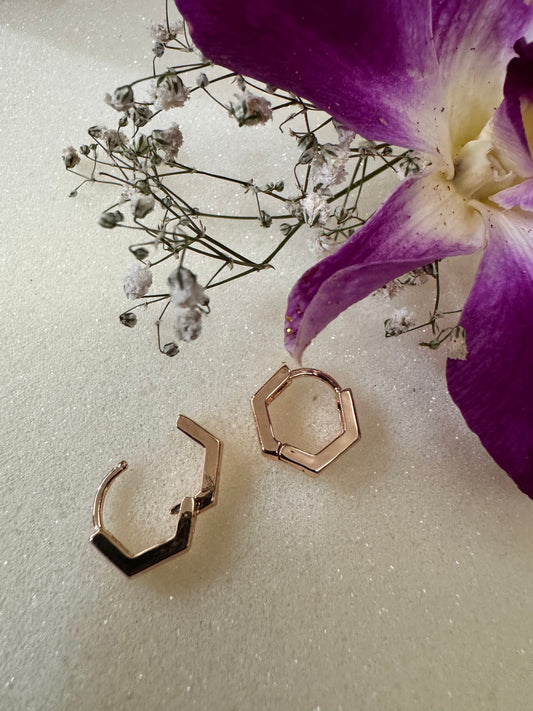 Hexagon Mini Hoops