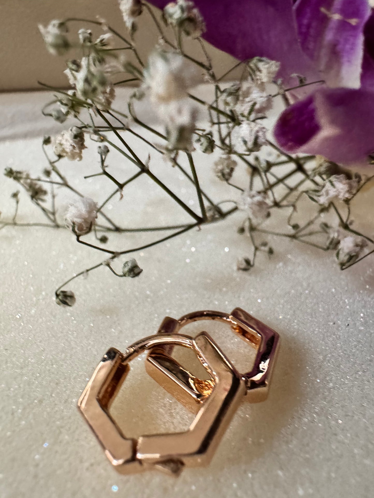 Hexagon Mini Hoops