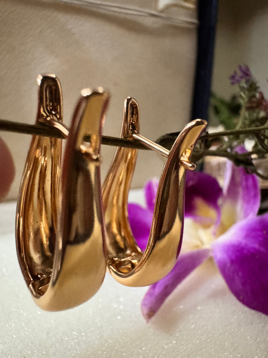 Horseshoe Hoop Earrings