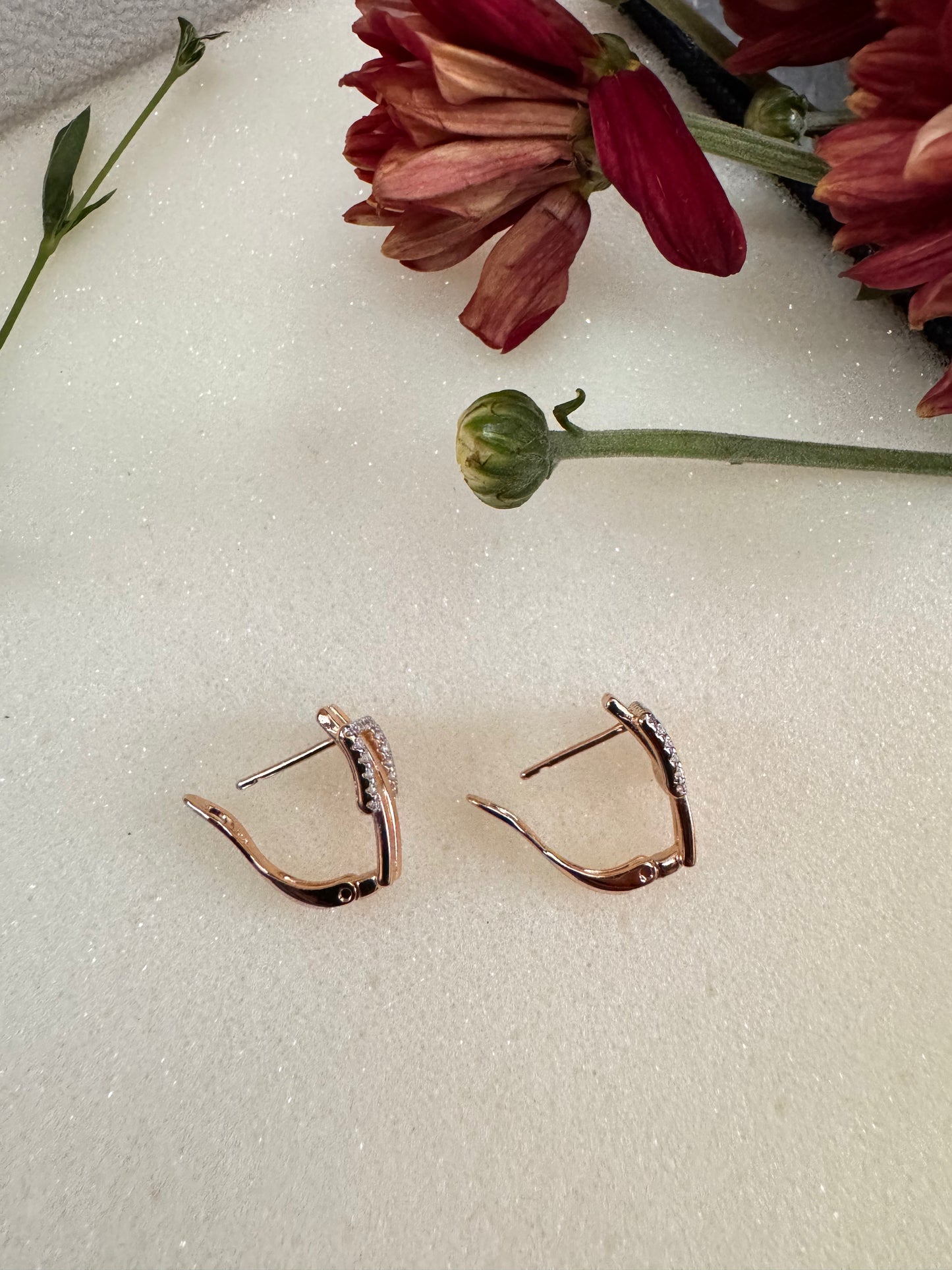 Gilded Buckle Earrings