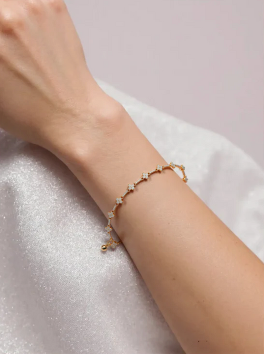 Roselle Clover Adjustable Bracelet
Erica Jewelry India Dainty Everyday Minimal Gold Silver Jewelry designed for the modern woman