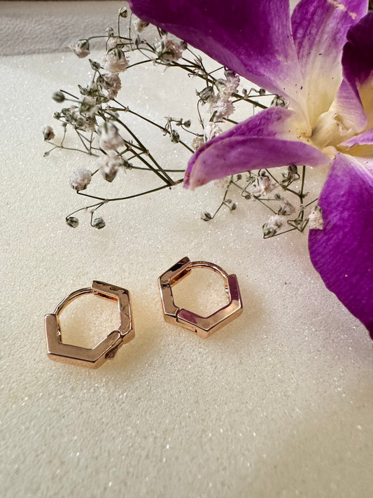 Hexagon Mini Hoops