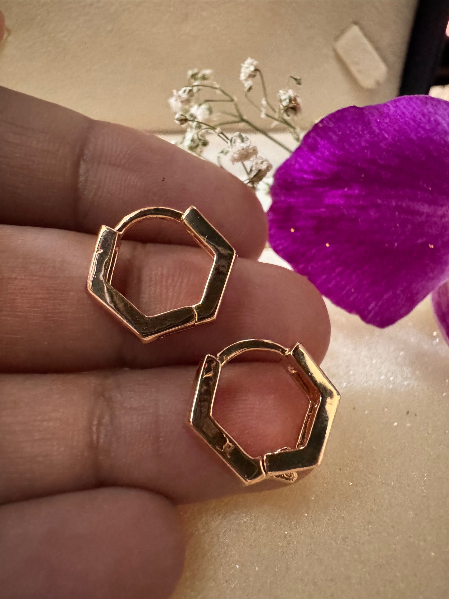 Hexagon Mini Hoops