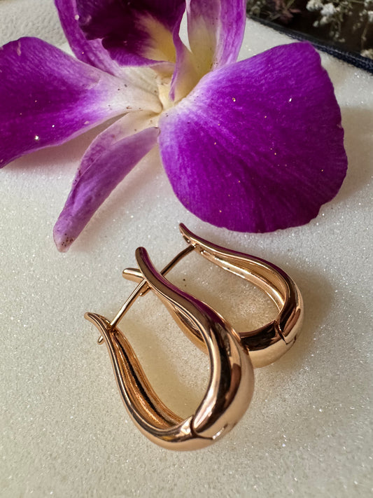 Horseshoe Hoop Earrings