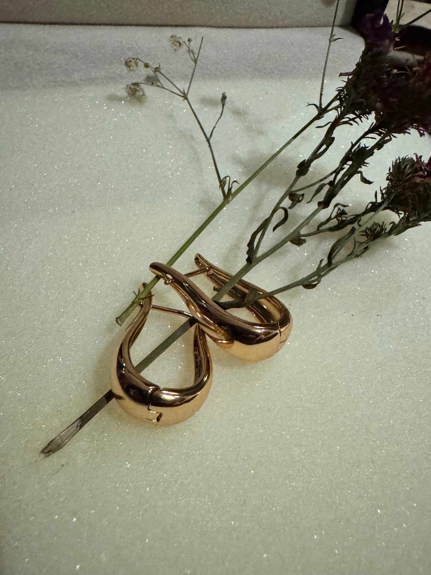 Horseshoe Hoop Earrings