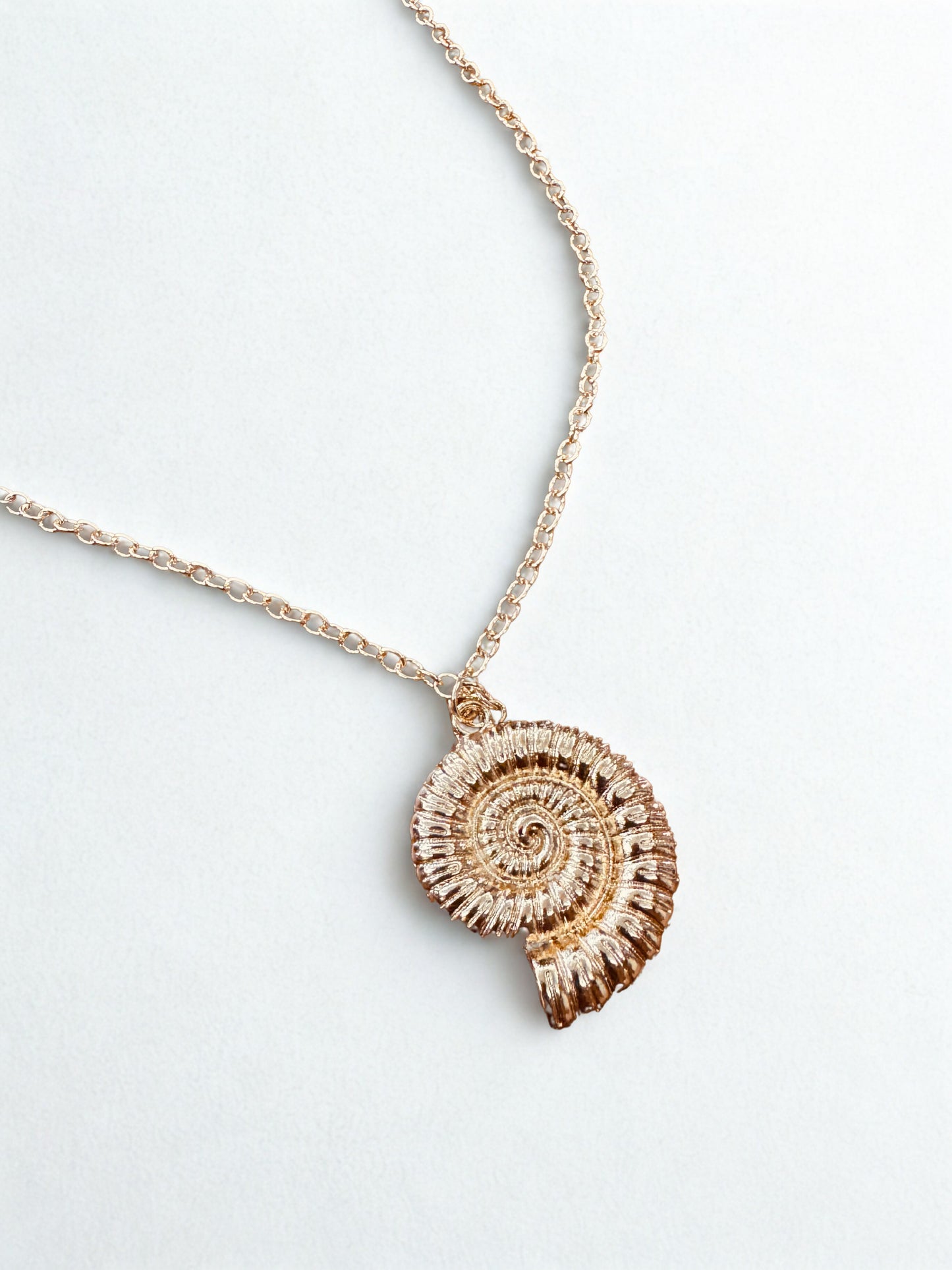 Nautilus Shell Pendant Necklace Elegant, dainty and minimal jewelry perfect for everyday wear. Handcrafted gold and silver jewelry from Erica Jewelry India collection.
